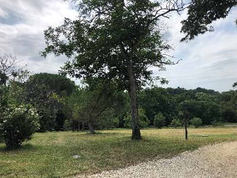Beau jardin arboré pour vos promenades