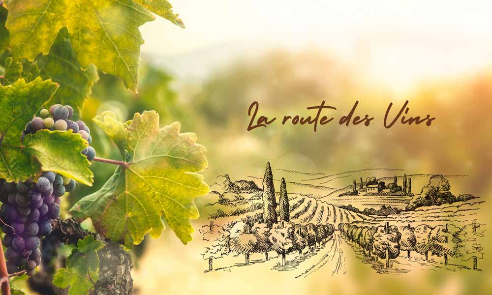 La route des vins