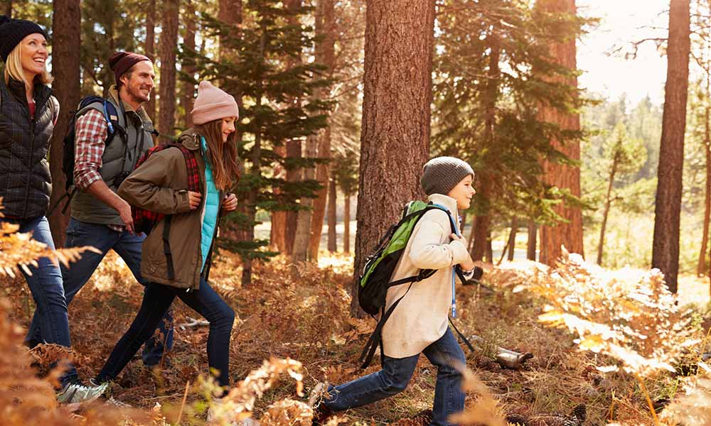 Randonnées pédestres